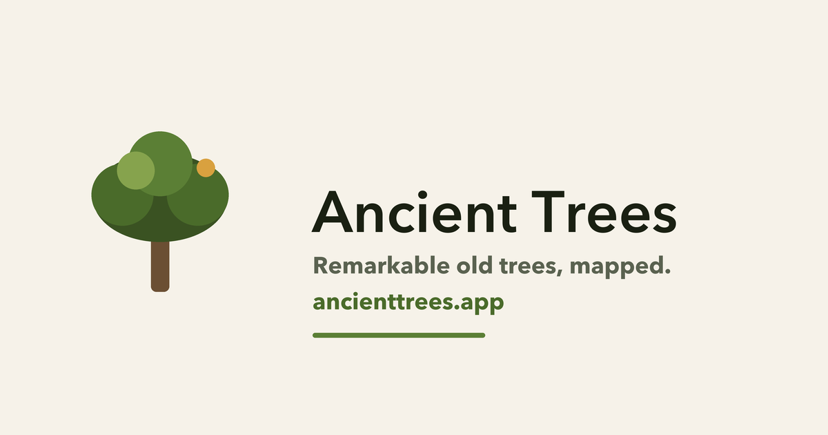 ancienttrees.app image