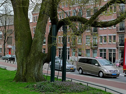 De Olifantsiep