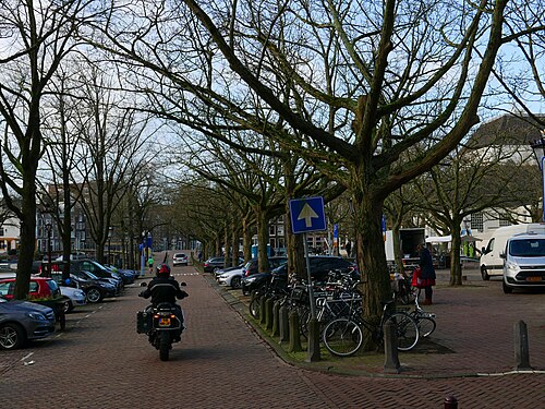 De vleugelnoten van het Amstelveld