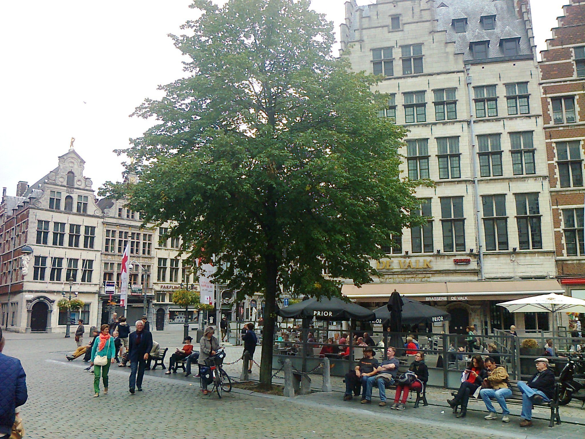 The Peace Tree of the Grote Markt