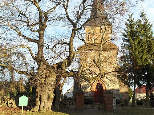 Franzosenlinde (Bargischow)