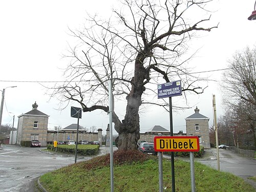 The Kasterlinde
