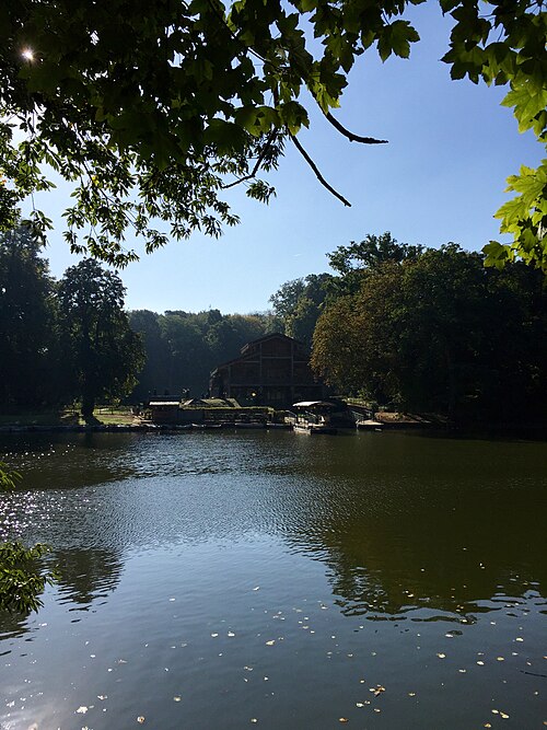 Les Chênes et Hêtres des étangs du Bois de la Cambre
