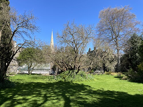 The Milton Mulberry