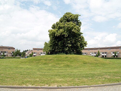 The Annenborch Lime