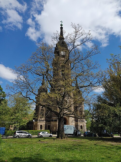 The Zerr-Eiche of Trinitatisplatz