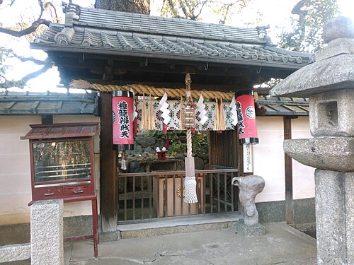 新熊野神社の大樟