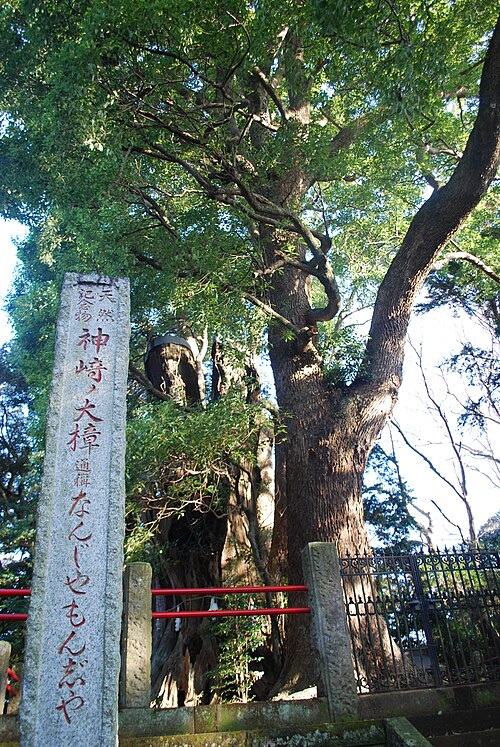 Kozaki no Okusu