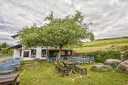 The Apple Tree at U Lidmanu (Jablon u Lidmanu)