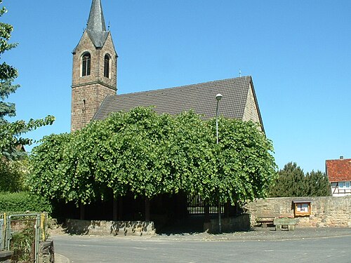 The Tanzlinde of Ostheim