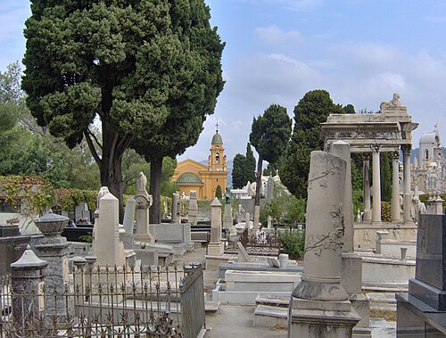 Les cyprès du cimetière du Château