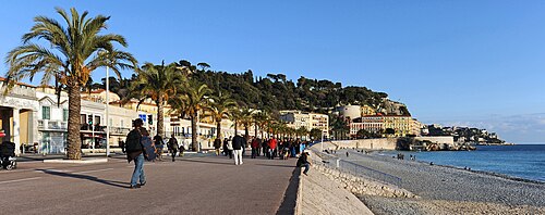Les palmiers de la Promenade des Anglais