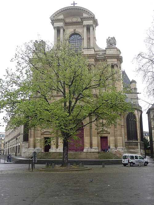 The Elm of Saint-Gervais