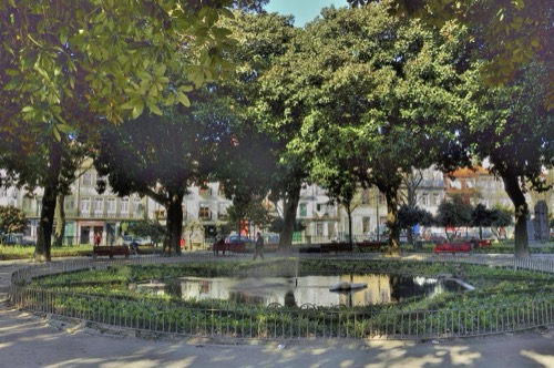 The Magnolia Ring of Jardim de São Lázaro