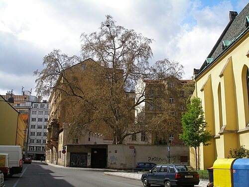 The Plane of Nove Mlyny