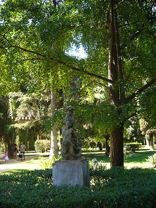 Los ginkgos del Real Alcázar