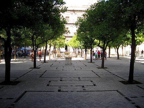The Orange Trees of the Patio de los Naranjos