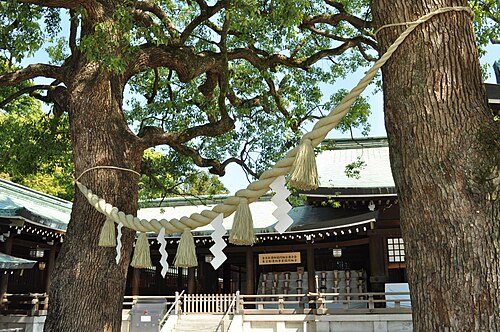 夫婦楠