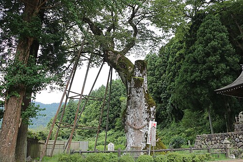 Yashiro-no-Okeyaki
